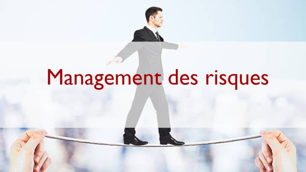 MODULE DE SPECIALISATION 5: MANAGEMENT DES RISQUES