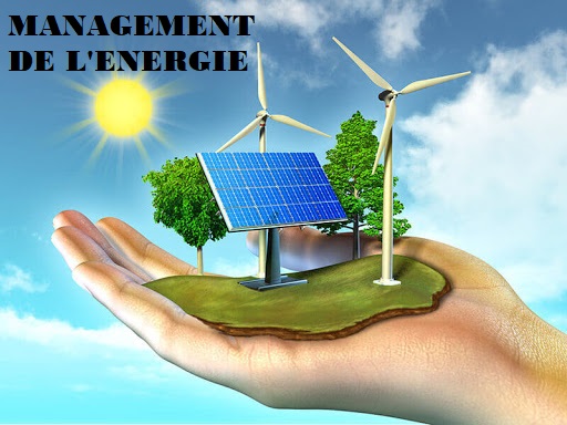 MODULE DE SPECIALISATION 6 : MANAGEMENT ENERGETIQUE