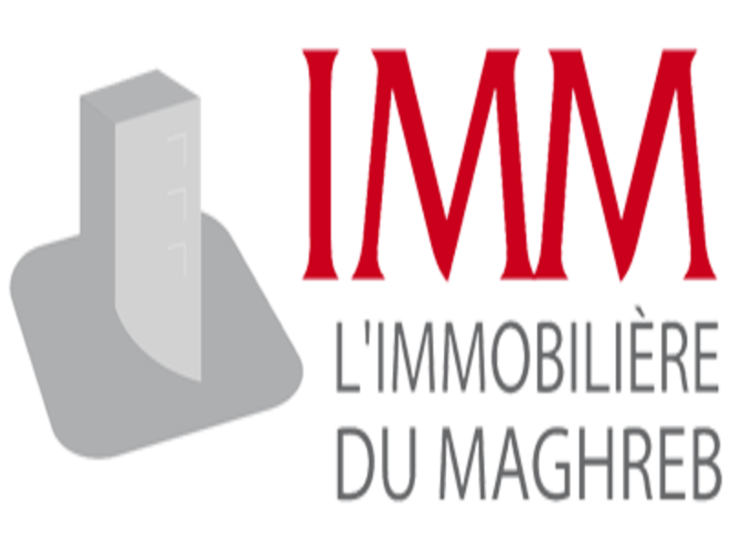 logo-imm.png