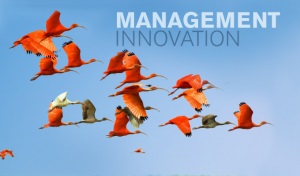 Le Management de l’innovation 